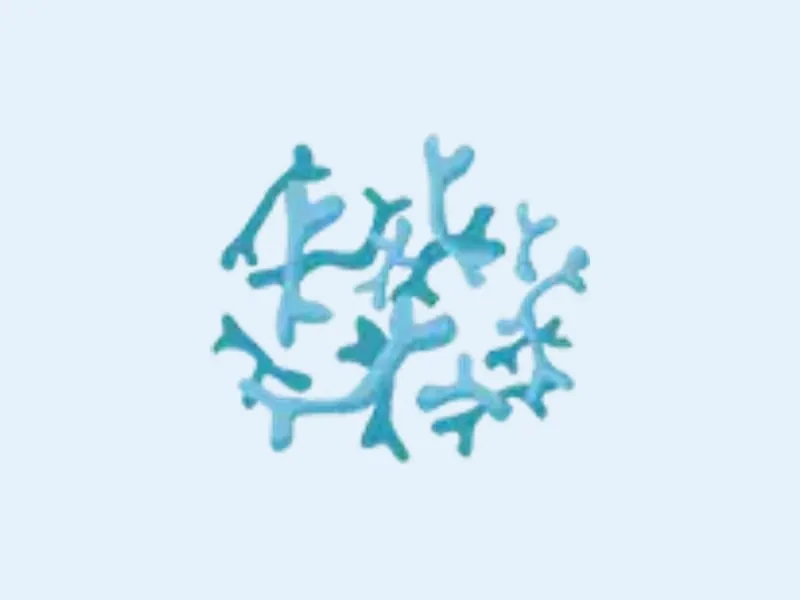 Bifidobacterium Infantis ingredient